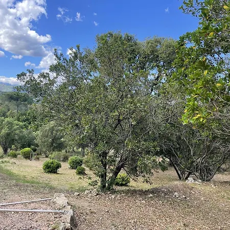 ヴィラ A Casuccia