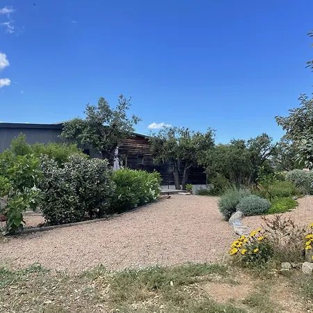 A Casuccia * ゾンザ